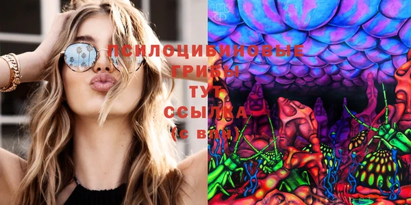 хмурый Алзамай