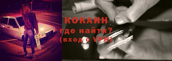 хмурый Алзамай