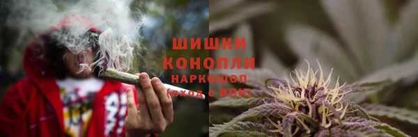 бошки Алексин
