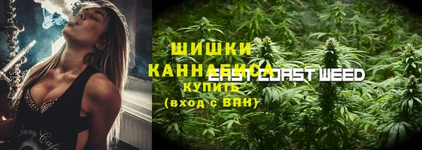 хмурый Алзамай
