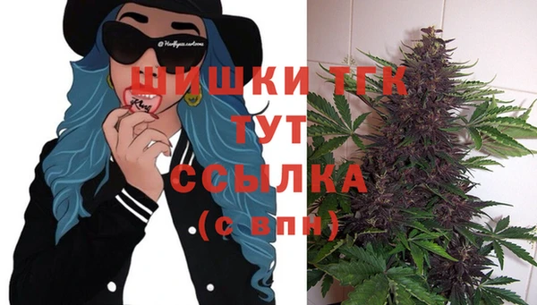 бошки Алексин