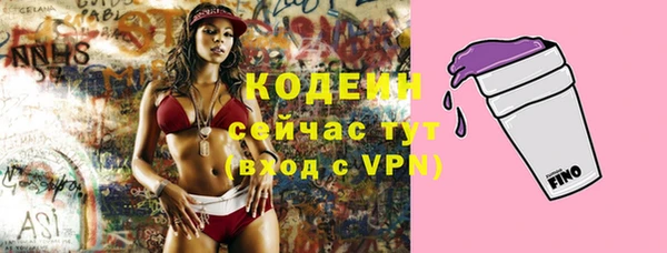 хмурый Алзамай