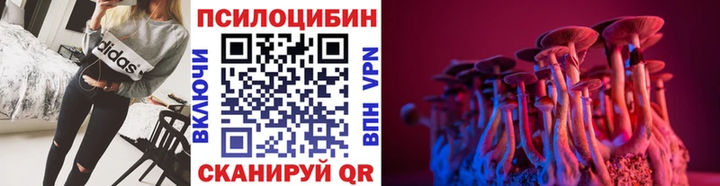 Псилоцибиновые грибы ЛСД Заозёрный