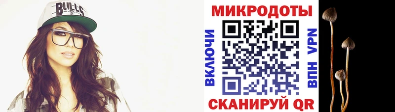 Галлюциногенные грибы Psilocybe  даркнет формула  Заозёрный 